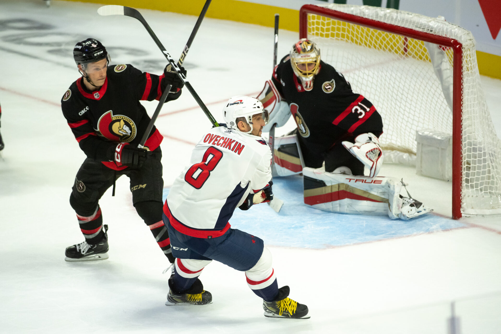 alex Ovechkin