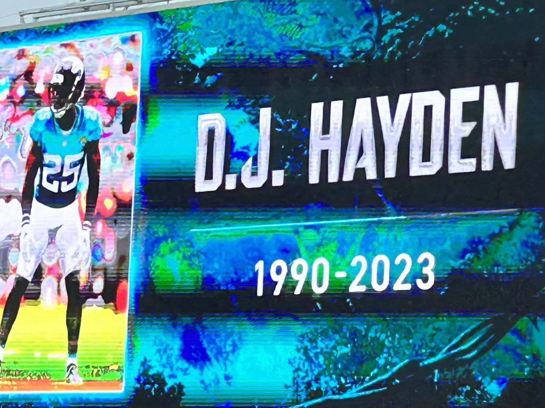 D.J Hayden
