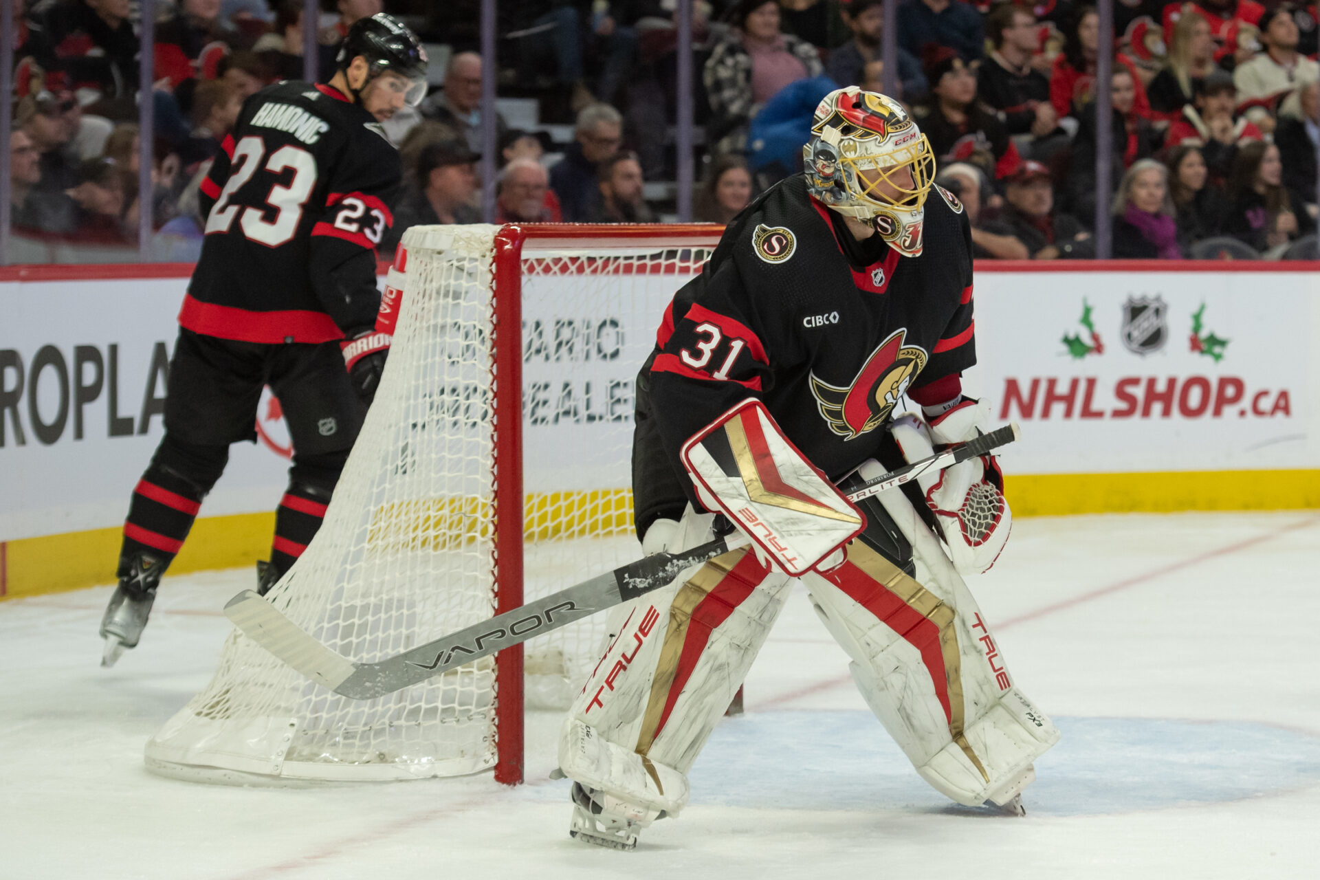 Senators