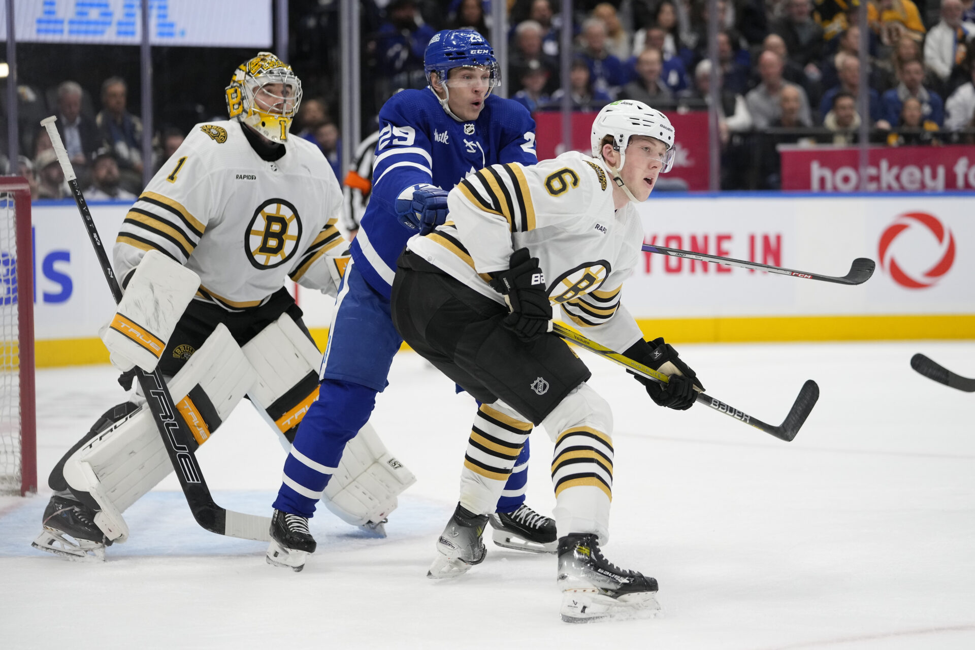 bruins