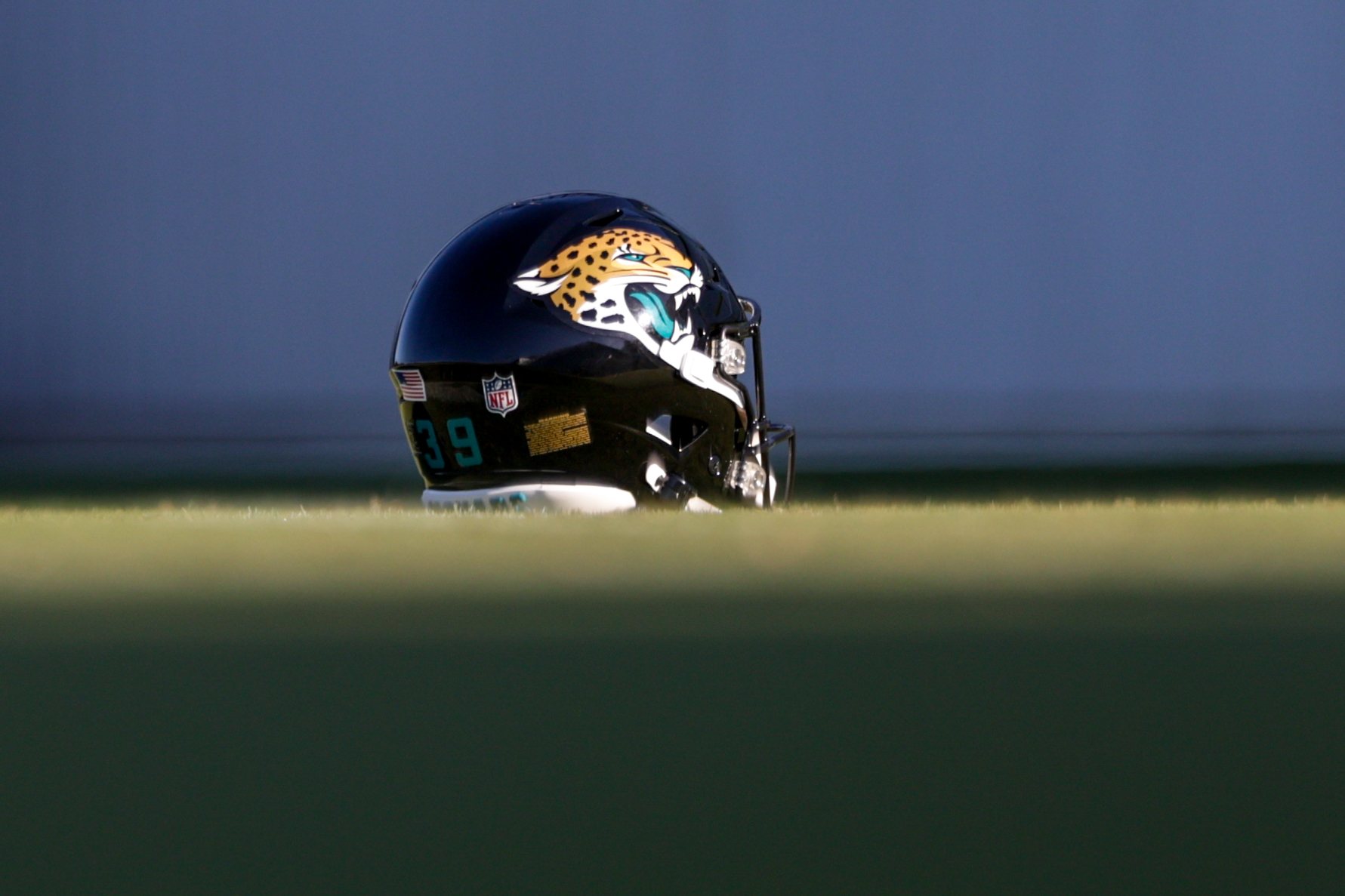 Jaguars