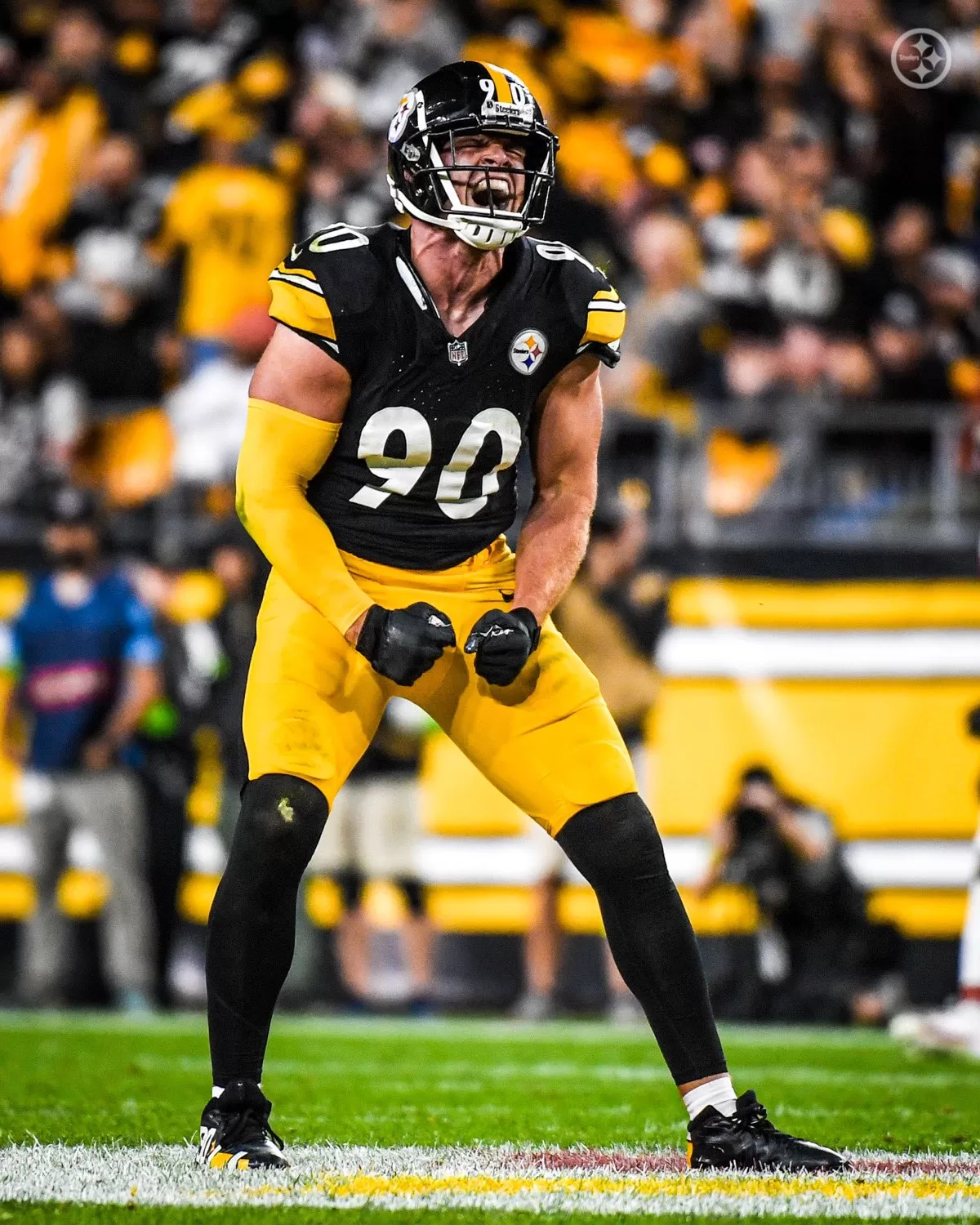 T.J Watt