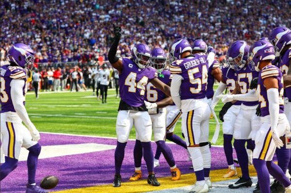 Minnesota Vikings defense